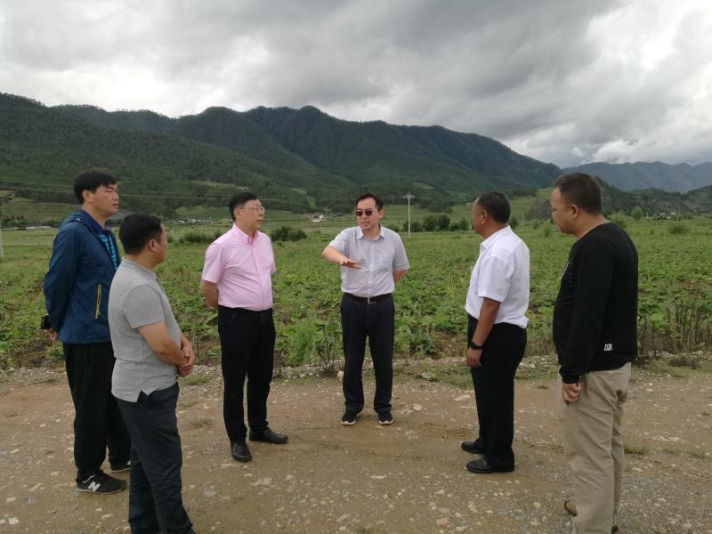 培训会结束后,学院一行与兰坪县委副书记,县长刘雪松,副县长胡国亮,县
