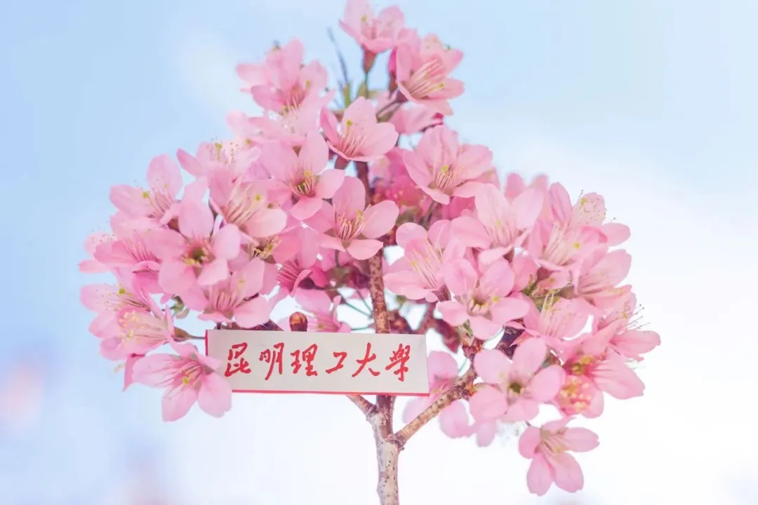 a0af4e5b-818d-471f-88c4-faf63240b8f1.jpg