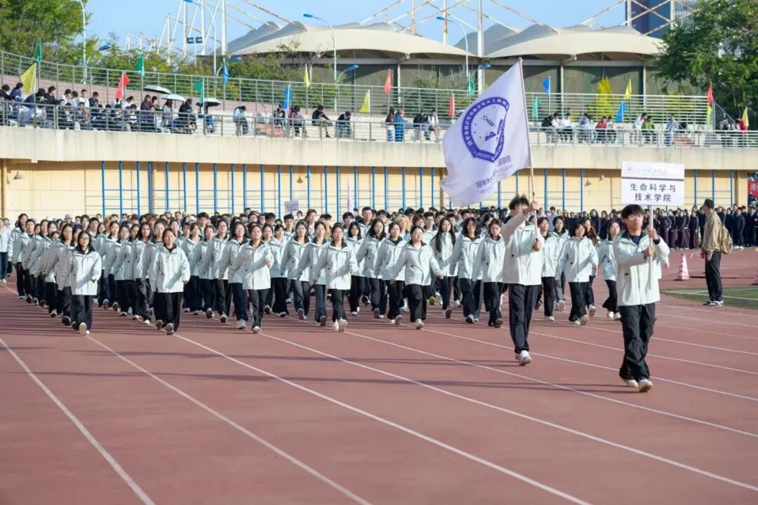0ceb1795-764d-4469-8ac2-382fbcccd50f.jpg