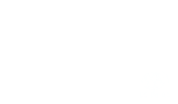 image13.gif